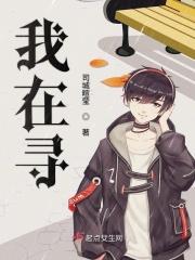 我在寻找光是什么歌