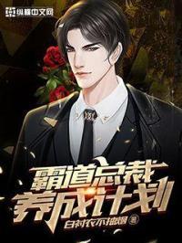 霸道总裁 养成文