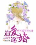 追婚全文免费阅读
