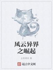 风云崛起在线阅读