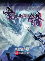 雪夜剑者