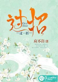 陈真和少帅过招