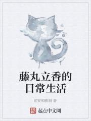 藤丸立香的相关