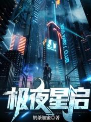 极夜星辉装什么芯片