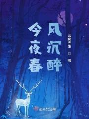 春风沉醉的夜晚解读