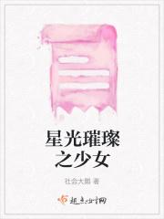 星光璀璨后续