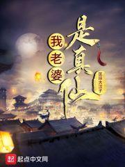 老婆我真是仙王免费