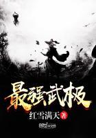 最强武夫