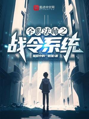 全职法师领域效果