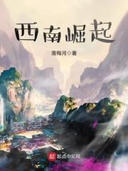 西南经济崛起
