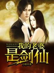 我的老婆是剑仙全部目录