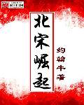 北宋掘起