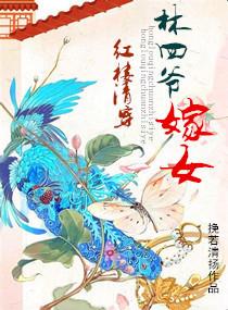 (清穿+红楼)林家小爷