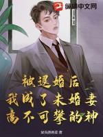 被退婚后我成了前任他大嫂txt