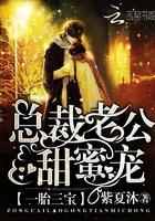 一胎三宝总裁老公甜蜜蜜全文免费阅读