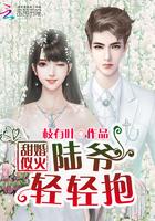 甜婚蜜令陆少的医神 起点