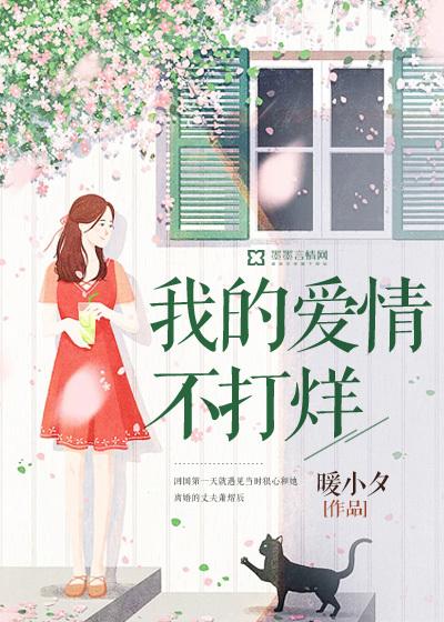 我的爱情不打烊剧情介绍