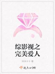 综影视之完美人生叶璃