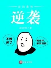 云玩家什么意思?