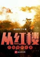 从红楼开始拯救名著无删减