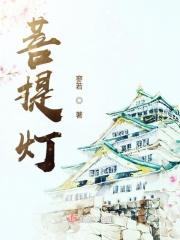 菩提灯光照里面的点点是什么