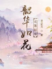 韶华如梦的意思