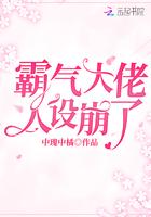 大佬霸气宠妻
