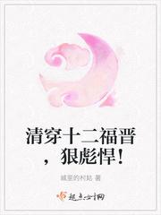清穿之十二福晋狠彪悍