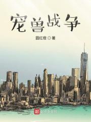 宠兽争斗怎么分解